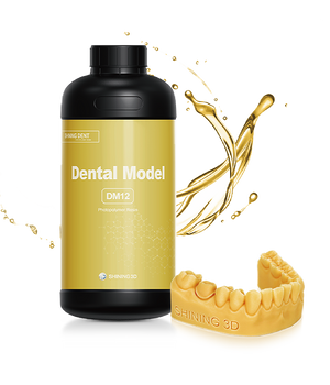 DENTAL MODEL (DM12)