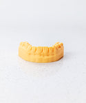 DENTAL MODEL (DM12)