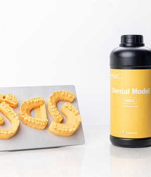 DENTAL MODEL (DM12)